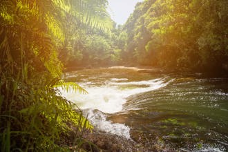 Lake Rotoiti Okere Falls