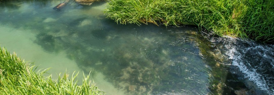 Pongakawa Waitahanui River