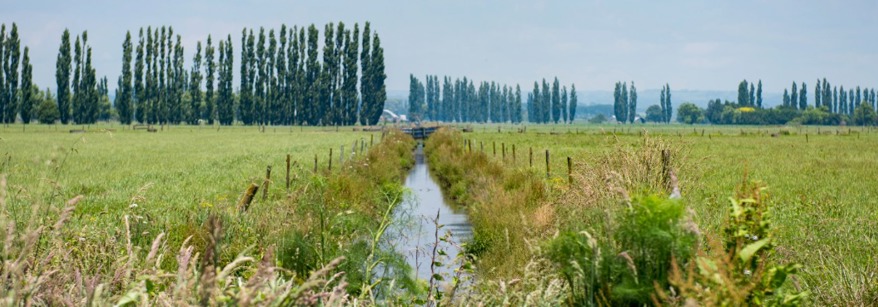 Pongakawa Stream